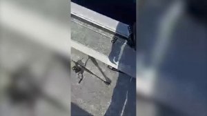 Обзор и отзыв о лодке Спайдер 390Р с воды