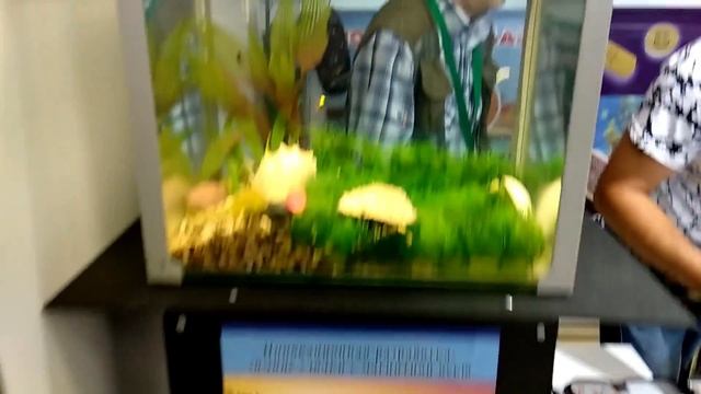 ВЫСТАВКА"ОХОТА и РЫБОЛОВСТВО" МИНСК 2018 смотреть онлайн