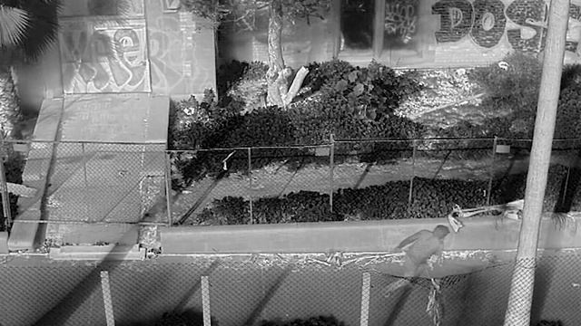 Endless Possibilities with Boson+, Uncooled LWIR Thermal Camera Module смотреть онлайн