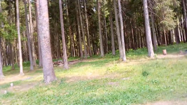 Пересвет. Озеро. Леопардовый купальник. Купаюсь. Тёплая зелёная вода.