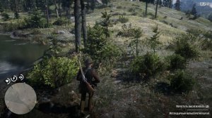 ЛЕГЕНДАРНЫЙ БОЛЬШЕРОГИЙ БАРАН - охота в RDR 2