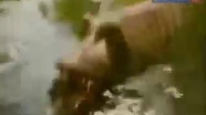 щюка Клюка запись секреты лунтика