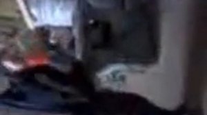 олень тупой