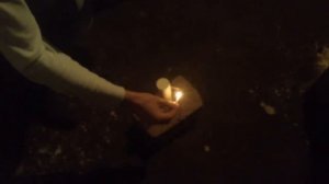Серная дымовая шашка в погреб