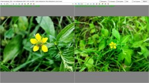 Обзор Xiaomi Redmi Note 10 Pro 6/64 - Два месяца использования! Покупать или нет?