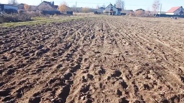 Готовим поле под пахоту #мотоблок #уборка #подготовка