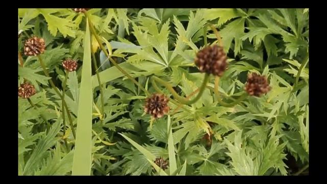 Символ Пермского края (16.07.14) смотреть онлайн