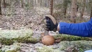 Кузница Братьев Касаткиных Нож "Айрус" и кокос.