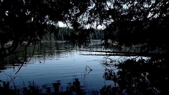 Омут. Автор-Игорь Шанин. ИсториТО. Мистическая история. Ужасы