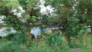 Красавино 29 Июля 2020