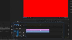 How To Add Color Filter To Video In Premiere Pro