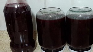 Домашнее вино из сливы