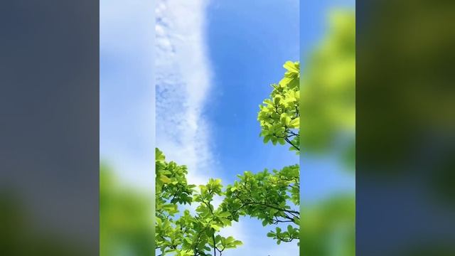 После дождя. Христианская песня для ободрения в испытаниях. смотреть онлайн