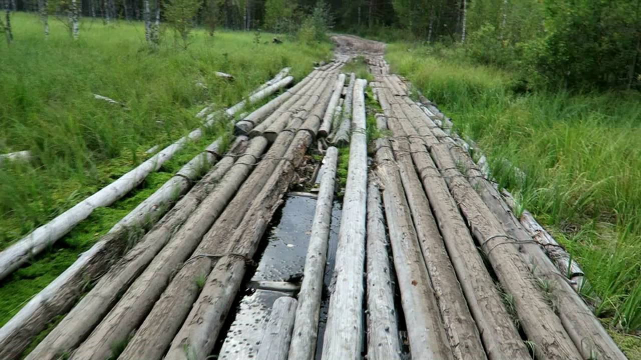 Лесная дорога в костромской глубинке, когда едешь за грибами...