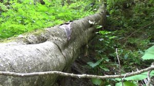 Суадагские водопады (природный аквапарк)