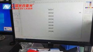 OVlaser-Raycus 30W laser marking machine with 300*300mm lens for marking plastic sealing locks.