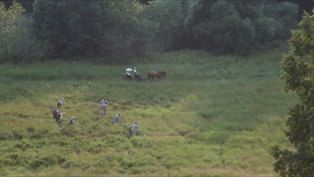 Босиком по России - Лена Василёк.mp4 смотреть онлайн