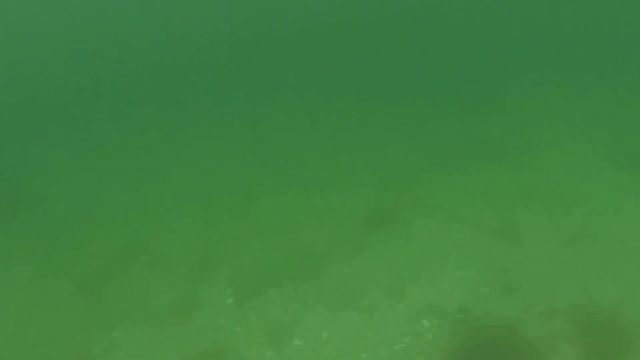 Крабы в Баренцевом море 22.06.2016 смотреть онлайн