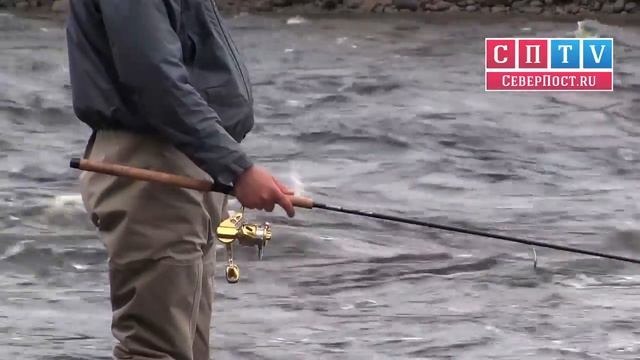 Рыбалка на сёмгу на Кольском полуострове смотреть онлайн