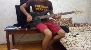 Тест бас гитары Yamaha erb070