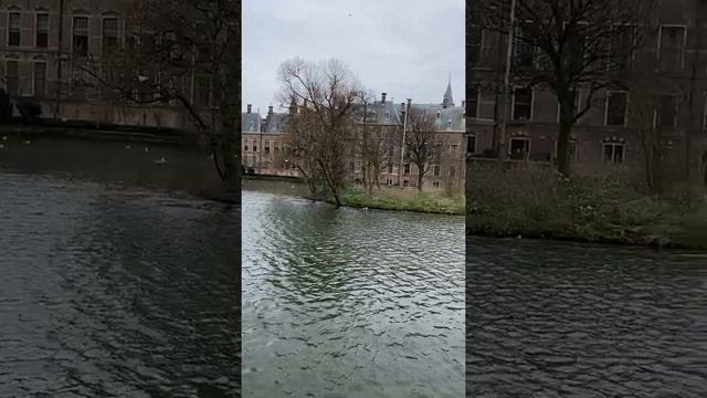 Канал возле замка Бинненхоф. Гаага, Нидерланды/Canal near the Binnenhof castle. The Hague