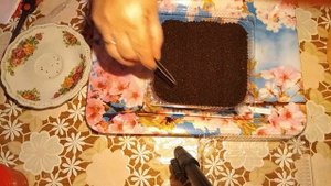 ФЛОКС ОДНОЛЕТНИЙ/ПОСЕВ/ПРОСТОЙ СПОСОБ..