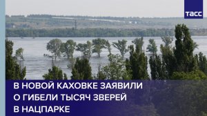 В Новой Каховке заявили о гибели тысяч зверей в нацпарке