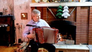 ВИНОВАТА ЛИ Я на гармони | Гармонист Вячеслав Лунёв