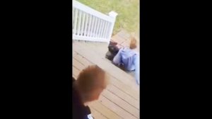 Random Memes Compilation #11