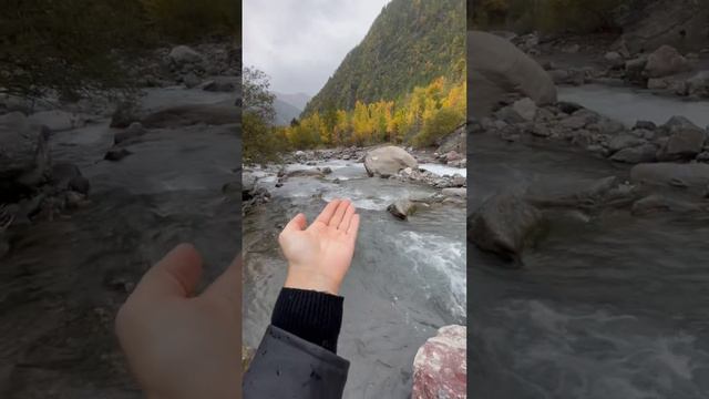 Заповедник Меркантур #горнаярека #альпы #франция #марганец #горы #трип #грибы