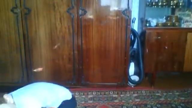 мальчик крутоо танцует смотреть онлайн