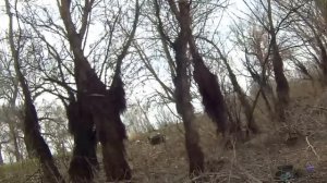 Рыбалка в Астрахани весной с берега.