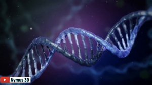 Хромосомы простыми словами | Как наследуются гены ?