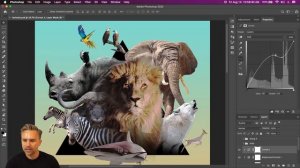 Photoshop Masterclass: Animal Collage | Adobe Creative Cloud