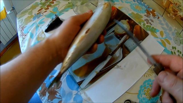 Маринованная скумбрия. Рецепт №1 с кориандром (Будни охотника и рыбака)