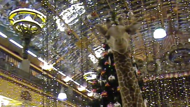 Elenka Studio Productions****Delskiy Mir 2====30-12-2007 смотреть онлайн