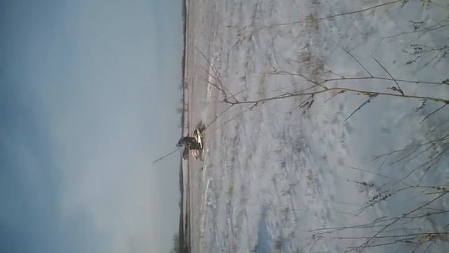 2009 Arctic Cat Crossfire 8 Sno Pro MBRP Snow drift смотреть онлайн