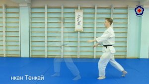 Базовые перемещения айкидо