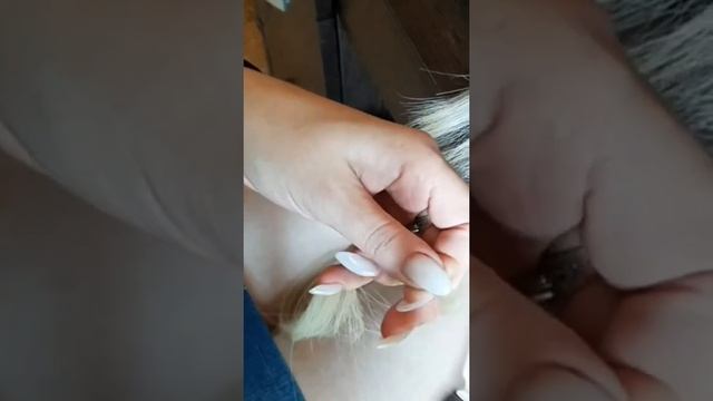 Капсуляция волос. Обучение. Капсуляция на скорость.