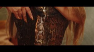 Красивая игра на скрипке - музыка и красивые девушки