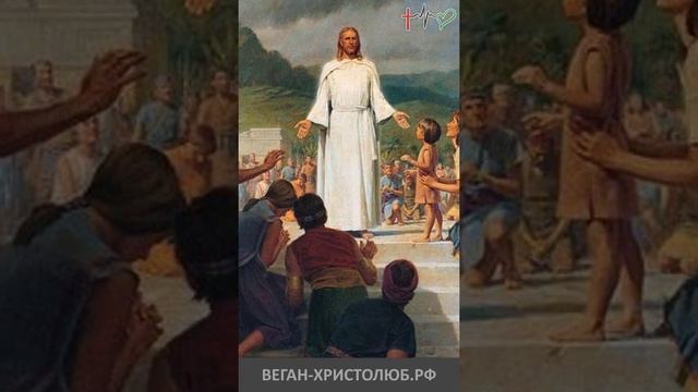 ИИСУС ХРИСТОС учил проповедовал и исцелял Евангелие Библия ХРИСТОЛЮБ  ВЕГАН ? shorts