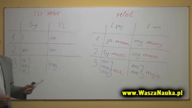 Odmiana HAVE w czasie teraźiejszym - Present Simple смотреть онлайн