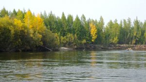 Река Чара. Сентябрь 2020г.