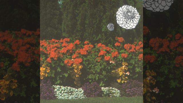 The Geranium Room смотреть онлайн