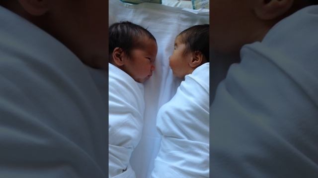 КАК ИКАЮТ БЛИЗНЕЦЫ/AS HICCUP GEMINI смотреть онлайн