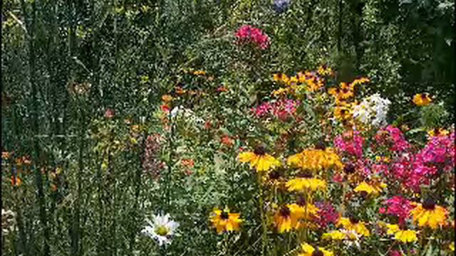 wonder смотреть онлайн