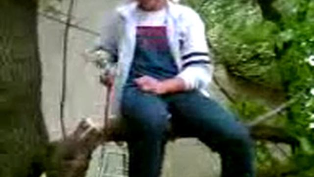 Необычно пилит ветку