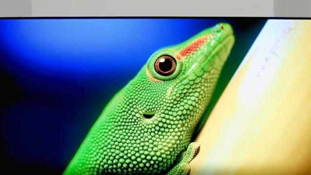 Телевизор Haier 65 Smart TV BX смотреть онлайн