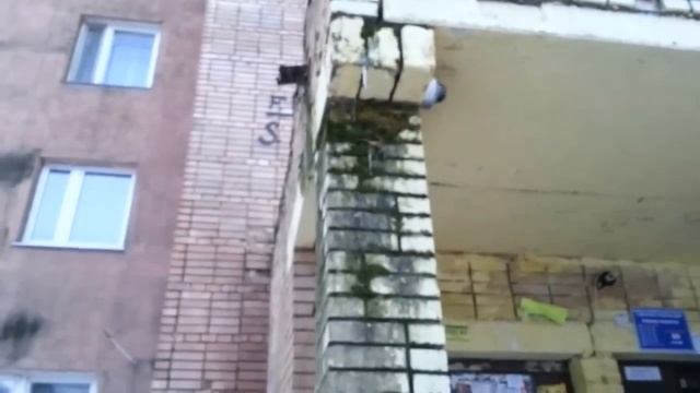 МУП "Большие Вяземы" и жилой дом в Городке-17 смотреть онлайн