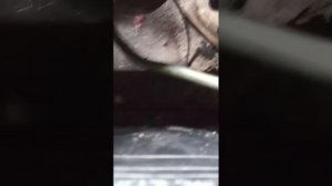 Стартер на  умз 5б (ЗІД) тест